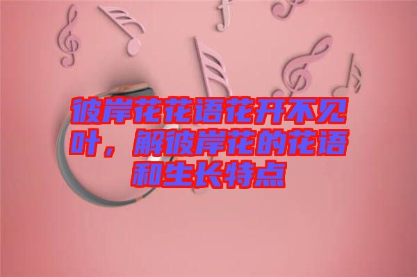 彼岸花花語花開不見葉，解彼岸花的花語和生長特點(diǎn)