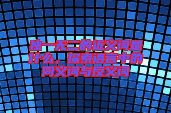 獨(dú)一無(wú)二的近義詞是什么，探索語(yǔ)言中的同義詞與反義詞