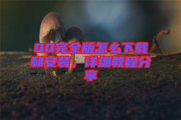 QQ完全版怎么下載和安裝，詳細(xì)教程分享