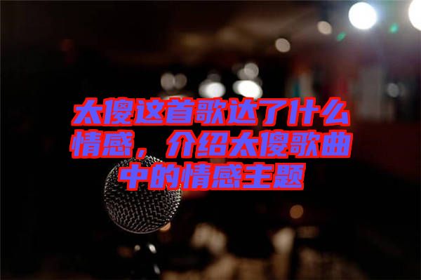太傻這首歌達(dá)了什么情感，介紹太傻歌曲中的情感主題
