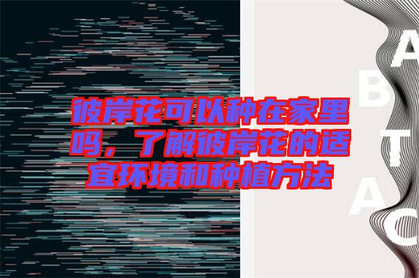 彼岸花可以種在家里嗎，了解彼岸花的適宜環(huán)境和種植方法