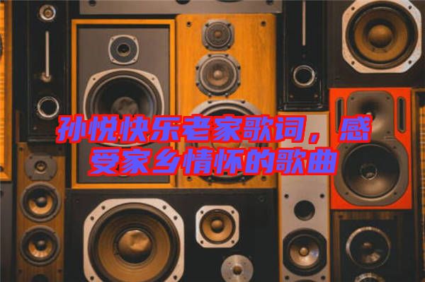 孫悅快樂老家歌詞，感受家鄉(xiāng)情懷的歌曲