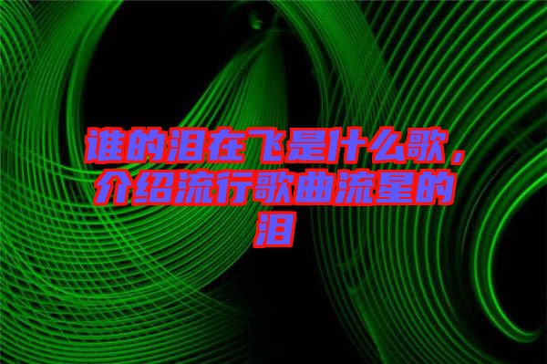 誰的淚在飛是什么歌，介紹流行歌曲流星的淚