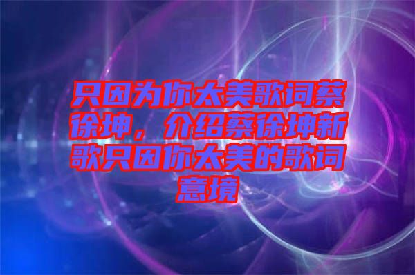 只因?yàn)槟闾栏柙~蔡徐坤，介紹蔡徐坤新歌只因你太美的歌詞意境