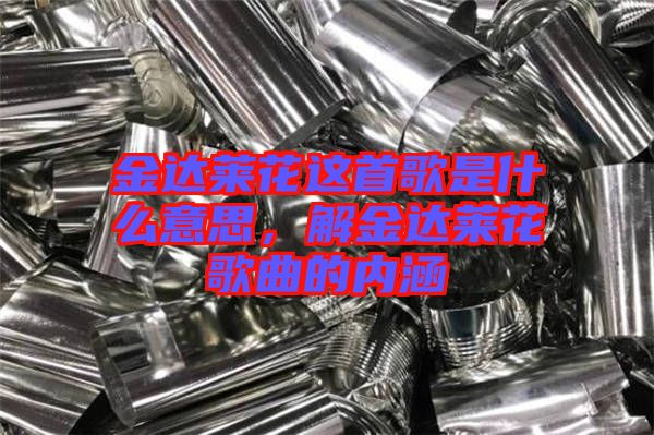 金達萊花這首歌是什么意思，解金達萊花歌曲的內(nèi)涵