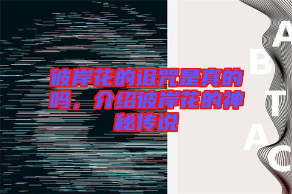 彼岸花的詛咒是真的嗎，介紹彼岸花的神秘傳說(shuō)