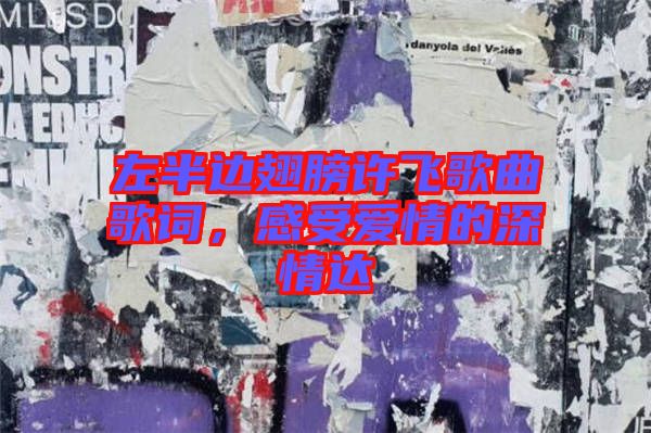 左半邊翅膀許飛歌曲歌詞，感受愛情的深情達
