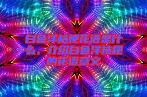 白色洋桔梗花語是什么，介紹白色洋桔梗的花語意義