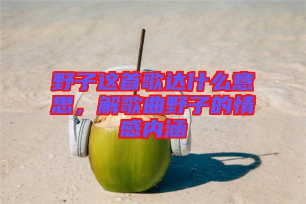 野子這首歌達(dá)什么意思，解歌曲野子的情感內(nèi)涵