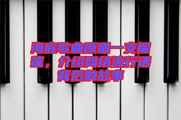 海底歌曲原唱一支榴蓮，介紹網(wǎng)絡(luò)流行語背后的故事