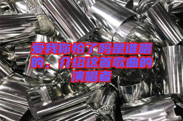 愛(ài)我你怕了嗎是誰(shuí)唱的，介紹這首歌曲的演唱者