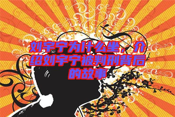 劉宇寧為什么坐，介紹劉宇寧被判刑背后的故事