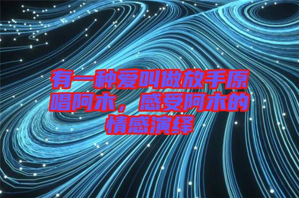 有一種愛叫做放手原唱阿木，感受阿木的情感演繹