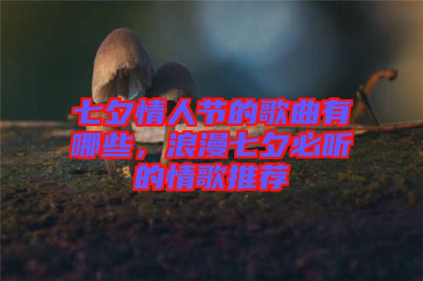 七夕情人節(jié)的歌曲有哪些，浪漫七夕必聽的情歌推薦