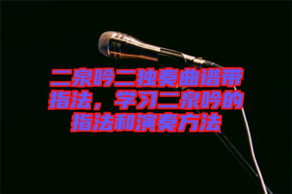 二泉吟二獨奏曲譜帶指法，學習二泉吟的指法和演奏方法