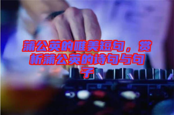 蒲公英的唯美短句，賞析蒲公英的詩句與句子