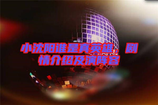 小沈陽誰是真英雄，劇情介紹及演陣容
