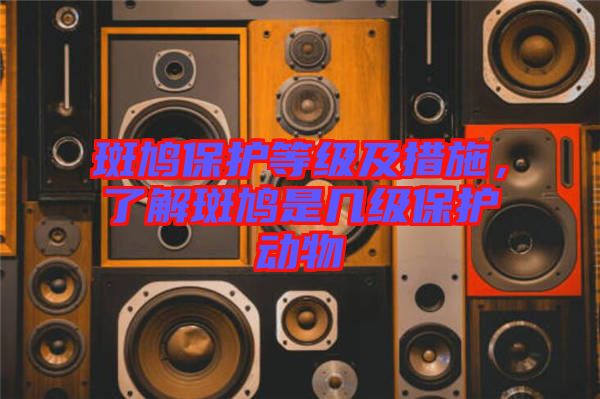 斑鳩保護(hù)等級(jí)及措施，了解斑鳩是幾級(jí)保護(hù)動(dòng)物