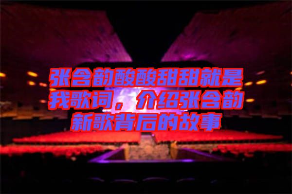 張含韻酸酸甜甜就是我歌詞，介紹張含韻新歌背后的故事