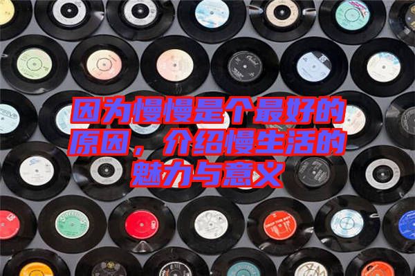 因?yàn)槁莻€(gè)最好的原因，介紹慢生活的魅力與意義