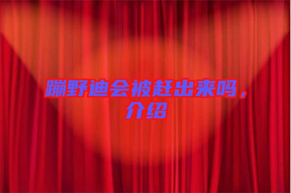 蹦野迪會被趕出來嗎，介紹