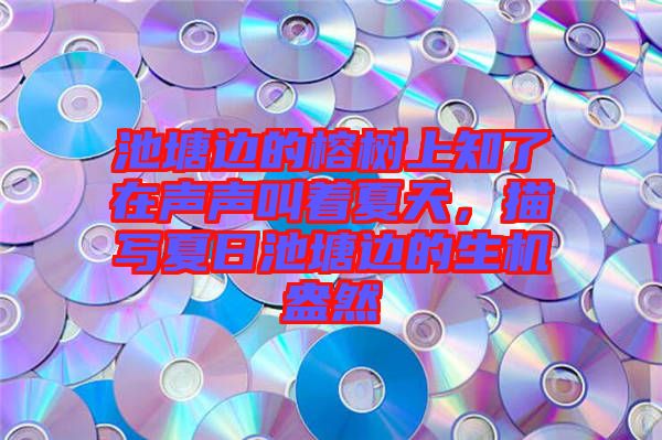 池塘邊的榕樹上知了在聲聲叫著夏天，描寫夏日池塘邊的生機(jī)盎然
