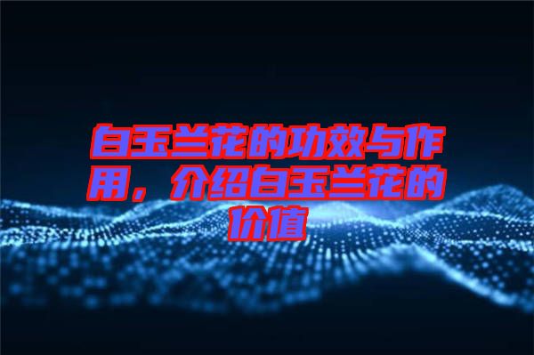 白玉蘭花的功效與作用，介紹白玉蘭花的價(jià)值