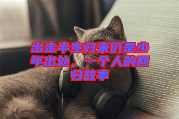 出走半生歸來(lái)仍是少年出處，一個(gè)人的回歸故事