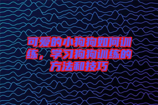 可愛的小狗狗如何訓(xùn)練，學(xué)習(xí)狗狗訓(xùn)練的方法和技巧