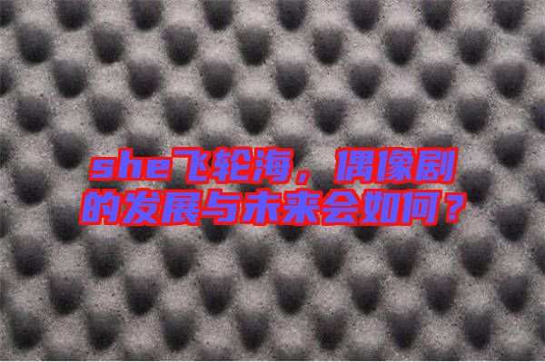 she飛輪海，偶像劇的發(fā)展與未來會如何？