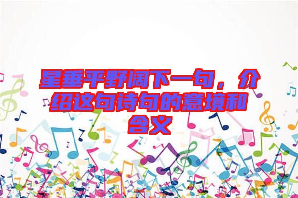 星垂平野闊下一句，介紹這句詩句的意境和含義