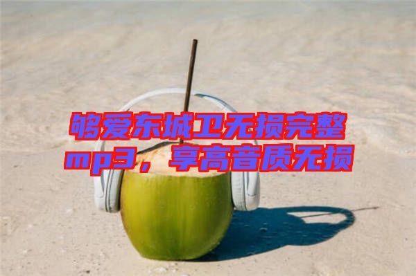 夠愛東城衛(wèi)無損完整mp3，享高音質(zhì)無損