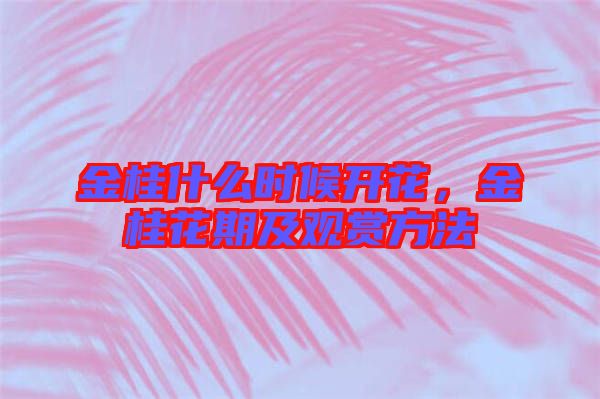 金桂什么時候開花，金桂花期及觀賞方法