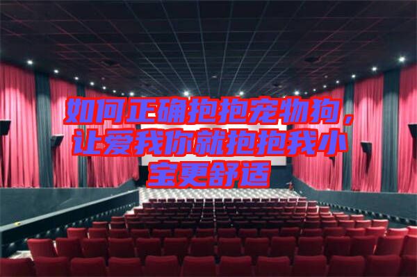 如何正確抱抱寵物狗，讓愛我你就抱抱我小寶更舒適