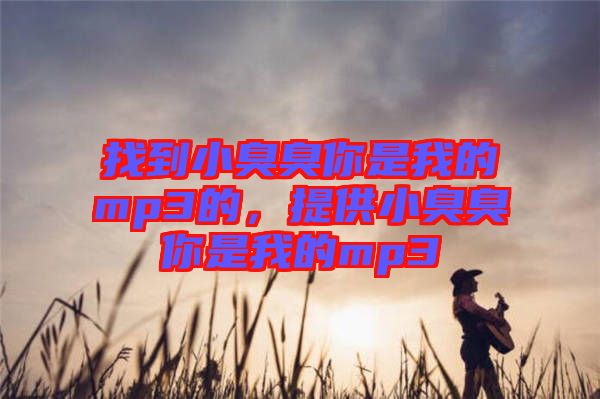 找到小臭臭你是我的mp3的，提供小臭臭你是我的mp3