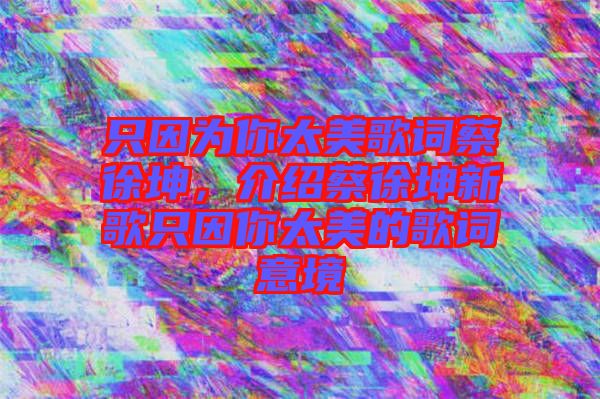 只因為你太美歌詞蔡徐坤，介紹蔡徐坤新歌只因你太美的歌詞意境