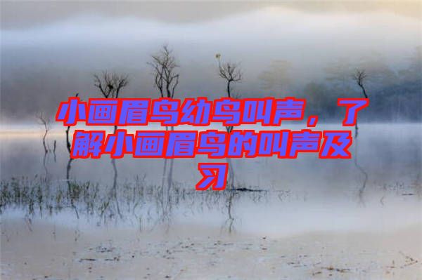 小畫眉鳥幼鳥叫聲，了解小畫眉鳥的叫聲及習