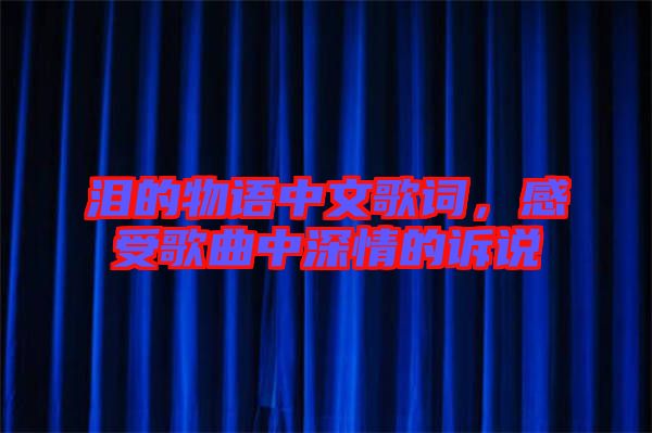 淚的物語(yǔ)中文歌詞，感受歌曲中深情的訴說(shuō)