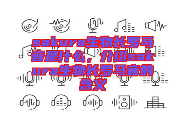 sakura生物長羅馬音是什么，介紹sakura生物長羅馬音的含義