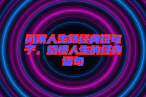 風(fēng)雨人生路經(jīng)典短句子，感悟人生的經(jīng)典語句