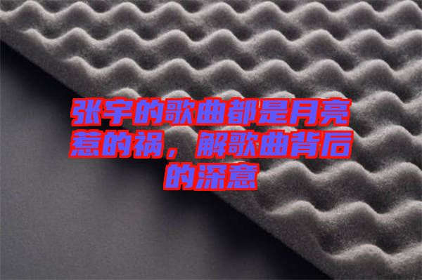 張宇的歌曲都是月亮惹的禍，解歌曲背后的深意