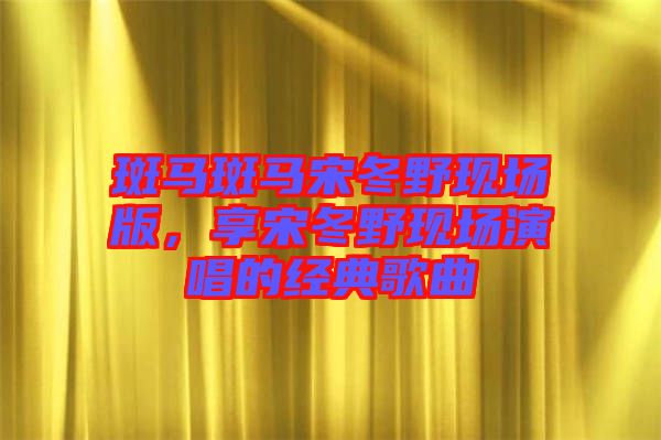 斑馬斑馬宋冬野現(xiàn)場版，享宋冬野現(xiàn)場演唱的經(jīng)典歌曲