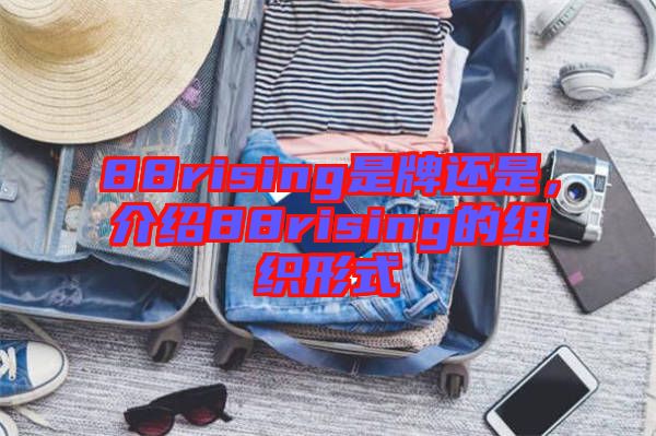 88rising是牌還是，介紹88rising的組織形式