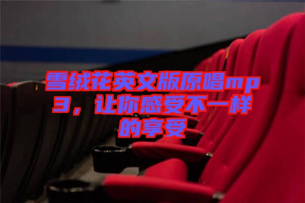 雪絨花英文版原唱mp3，讓你感受不一樣的享受