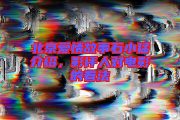 北京愛情故事石小猛介紹，影評人對電影的看法