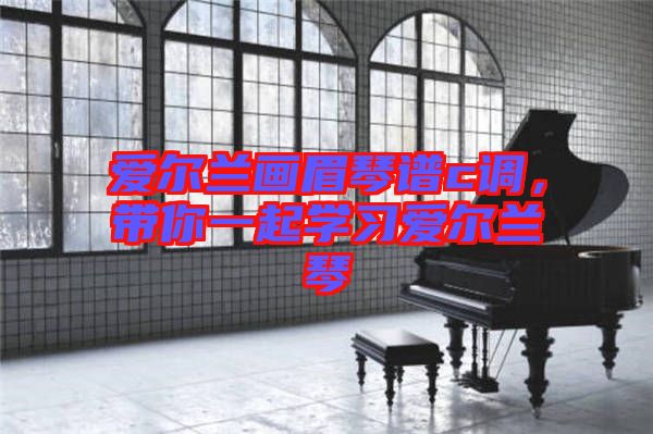 愛爾蘭畫眉琴譜c調(diào)，帶你一起學習愛爾蘭琴