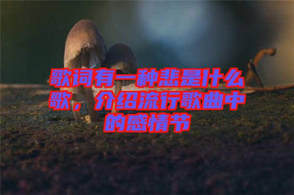 歌詞有一種悲是什么歌，介紹流行歌曲中的感情節(jié)