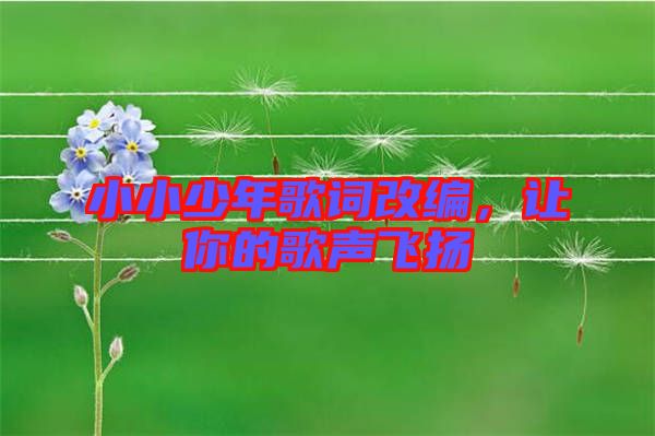 小小少年歌詞改編，讓你的歌聲飛揚(yáng)