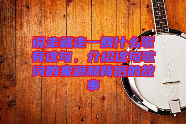 說走就走一回什么歌有這句，介紹這句歌詞的來源和背后的故事