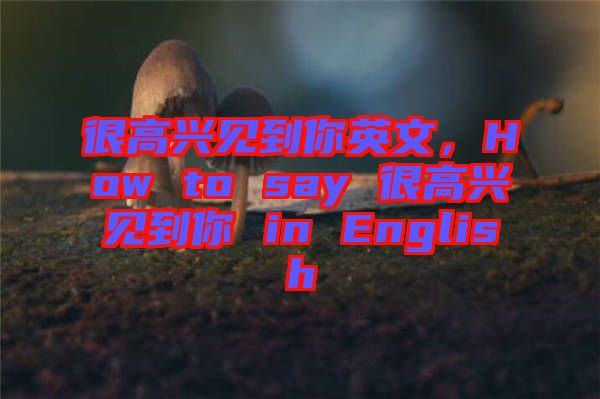 很高興見到你英文，How to say 很高興見到你 in English